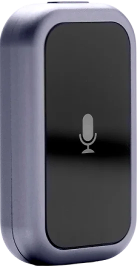 Sonal AI device